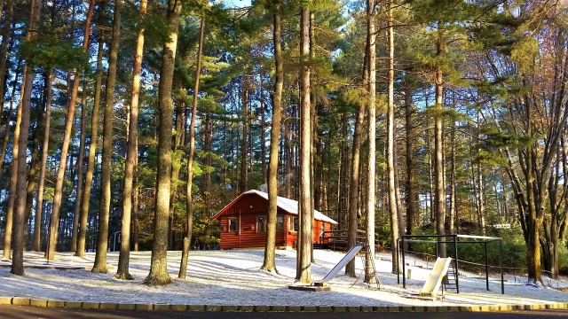 Cabin and Playgroud