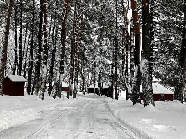 Winter driveway