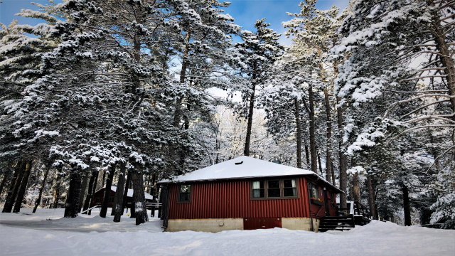 Winter Cottage